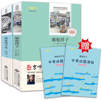 七年级下推荐必读 骆驼祥子+海底两万里 2册套装