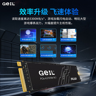 GeIL 金邦 P4L NVMe M.2 固态硬盘 1TB（PCI-E4.0）