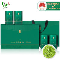 双碑年货茶叶礼盒新茶明前绿茶特级信阳毛尖春茶嫩芽500g 500克