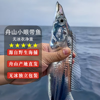 鲜源澜湾 舟山小眼带鱼 舟山油带鱼 钓带 海捕带鱼特级带鱼生鲜 生鲜鱼类 小眼油带鱼5斤(8-12条)