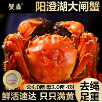 【活蟹】蟹淼阳澄湖大闸蟹公4.0两母3.0两4对8只去绳足重鲜活螃蟹现货生鲜水产塘蟹礼盒