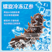 辽参 大连真辽参冷冻海参非干货辽刺参1000g/盒独立包装滋补礼盒送礼