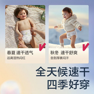 babycare 纸尿裤air速干裤箱装薄款bbc纸尿裤尿不湿新生儿透气