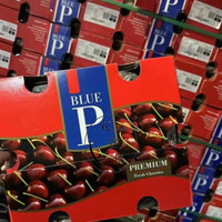 花客悦蓝P车厘子2J品种Bing加大双J3J冰车红车厘子甜脆新鲜5斤 5斤 JJ 28mm(含)-30mm(不含)