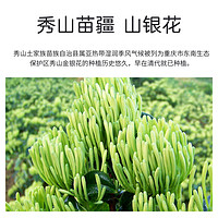 NEPTUNUS 海王 苗疆秀山金银花露饮品含金银花菊花清凉止渴健康饮360ml*6瓶