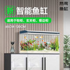 HUAIXIAOCHONG 坏小宠 鱼缸用懒人免换水生态桌面鱼缸 M820 热弯系列