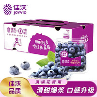 JOYVIO 佳沃 进口蓝莓 4盒装 125g/盒 生鲜水果