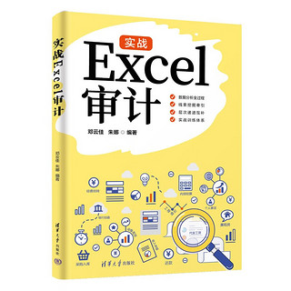 实战Excel审计