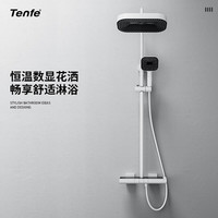 鼎菲鼎菲淋浴花洒套装铜淋雨卫浴沐浴器明装恒温增压家用枪灰色 A2哑光白