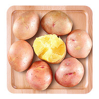 青沃青沃云南红皮黄心小土豆 9斤 马铃薯 洋芋 新鲜蔬菜 轻食 
