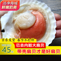 瀚通 大扇贝 净重500g（7-11只）