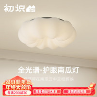 初识（茶叶） 全光谱 护眼吸顶灯  吸顶款-米家智能 10-20㎡(含) 无极调色