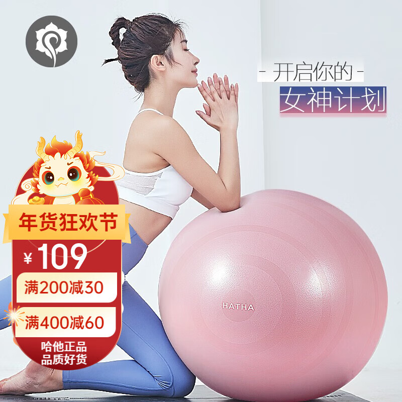 哈他瑜伽球加厚防爆瑜珈初学者儿童运动女分娩助产球 65cm经典防爆球