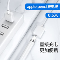  颖果 Apple Pencil充电线  线充套装 白色