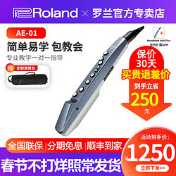 Roland 罗兰 电吹管乐器ae10 ae05 ae01自带音源扬声器AE30初学者成人老年人电萨克斯 AE01 全套豪礼