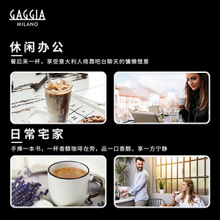 GAGGIA 加吉亚 Classic Evo家用半自动咖啡机办公意式蒸汽打奶泡机