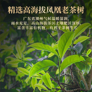 山里货（shanlihuo）茶叶一级浓香型 潮州凤凰单枞乌龙茶 蜜兰香单丛罐装450g