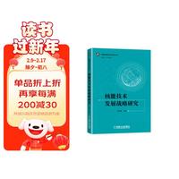 核能技术发展战略研究