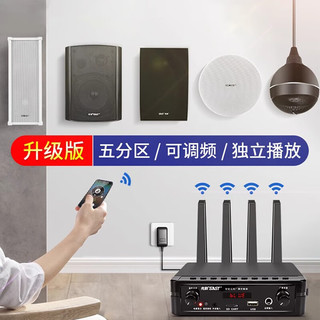  SAST/先科 无线 壁挂音响套装  黑色