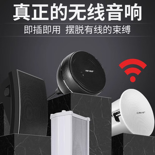  SAST/先科 无线 壁挂音响套装  黑色