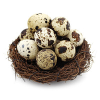 都丰年 DUFENGNIAN鹌鹑蛋24枚220g