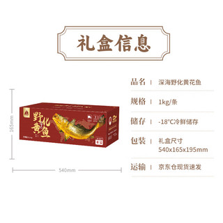 鸿顺深海野化黄花鱼1kg/条 海鲜年货礼盒 冷冻大黄鱼 生鲜鱼类