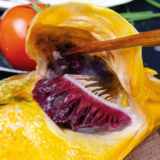 鸿顺深海野化黄花鱼1kg/条 海鲜年货礼盒 冷冻大黄鱼 生鲜鱼类
