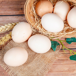 对面小城柴鸡蛋 农家现捡散养土鸡蛋初生蛋鲜鸡蛋 12枚
