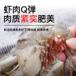 海泽鲜 黑虎虾 冰鲜大虾 鲜活生冻特大黑虎虾  巨型老虎虾 海虾类礼盒 大号L号15只【15-20cm】