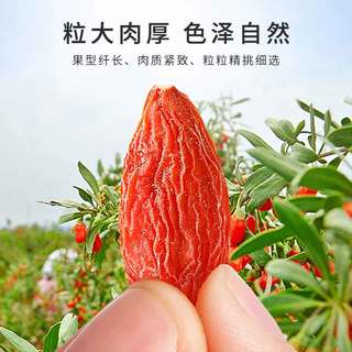 雷允上 枸杞100克宁夏中卫精选大果红枸杞搭配菊花泡水官方正品