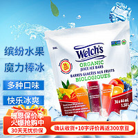 Welch's多口味水果汁棒冰碎碎冰自制冰沙甜品 休闲儿童零食果冻冷饮 36支*44ml/支