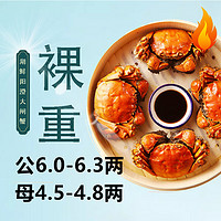 HUXIANYANGCHENG 湖鲜阳澄 大闸蟹 去绳足重 公6.0-6.3两母4.5-4.8两4对8只 鲜活特大螃蟹年货节