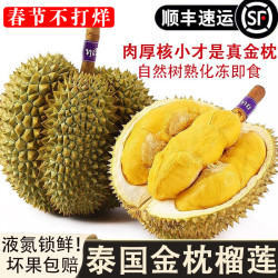 自由王果 泰国金枕榴莲液氮榴莲 树上自然 冷冻新鲜带壳当季水果7-8
