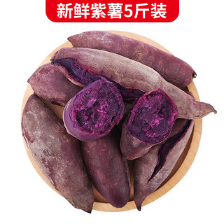 静益乐源 新鲜紫罗兰紫薯  5斤