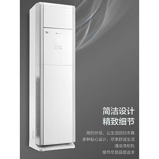 格力（GREE）清凉湾定频冷暖5匹2级能效柜机空调380V三相电 RF12WQ/NhB-N2JY01一价全包18米