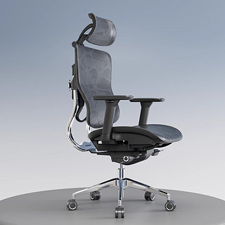 有谱FLY Y1 人体工学椅电脑椅办公椅老板椅可躺舒适午休 黑框黑网+龙纹（美国网）+躺舒宝