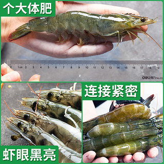 青岛大虾鲜活新鲜冷冻海鲜盐冻虾超大整箱海虾青虾对虾基围虾水产
