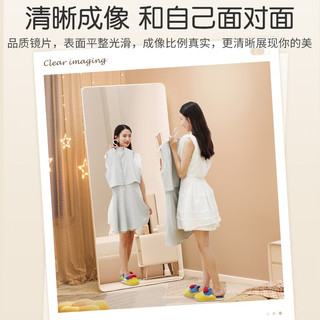 飞旺藤达 全身落地镜子壁挂贴墙卧室玄关穿衣镜化妆镜铝合金简约北欧大镜子