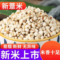 印熊屋薏仁米新米 小薏米仁新货新鲜生薏米粥薏苡仁五谷杂粮 薏仁米500g*1袋