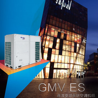 格力（GREE） 中央空调10匹一拖二、一级能效、变频冷暖GMV-N120T/LS  GMV-250WL/L含材料安装   