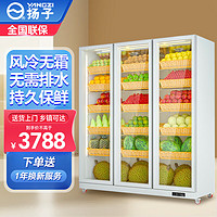扬子商用水果保鲜柜大容量风冷保鲜冷藏冰箱冰柜立式展示柜 注塑门框丨1660*580*1830丨三门白色 1.8米