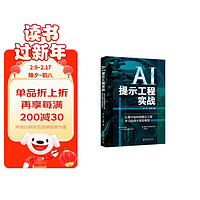 AI提示工程实战：从零开始利用提示工程学习应用大语言模型