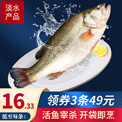 SuXian 速鲜 海鲈鱼 1条 350-400g