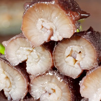 张奶奶大连即食海参500g礼盒非干鲜活辽刺参速食冷冻佳品特价年货