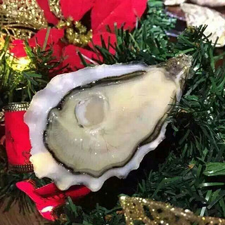 Oyster feast/蠔门盛宴 吉拉多J Grandeur法国生蚝鲜活空运N0刺身级即食12只装