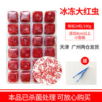 浪花冷冻红虫观赏鱼食饲料血虫丰年虾赤虫牛心汉堡孔雀金鱼七彩鱼饲料 6板大红虫+喂食工具