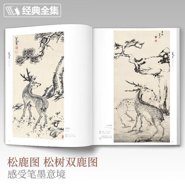 八大山人画集8开中国画临摹画册书籍写意水墨国画山水花鸟鱼虫技法教材