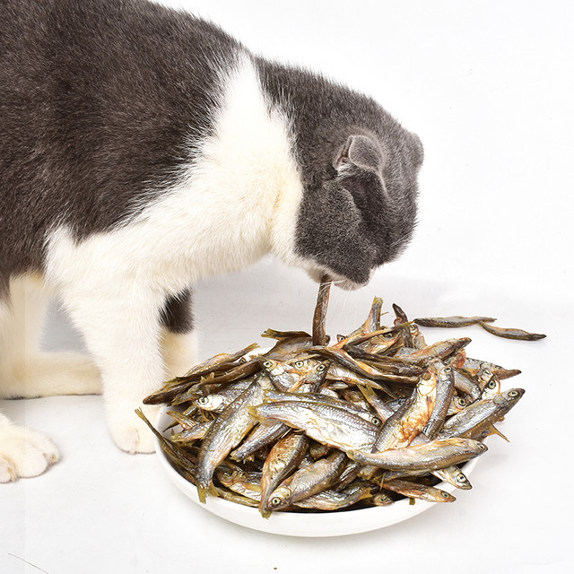 养只宠物 猫零食 冻干多春鱼