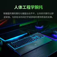 RAZER 雷蛇 雨林狼蛛V3X蝰蛇标准重装甲虫电竞游戏有线鼠标键盘套装