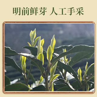 去寻茶叶明前特级西湖龙井臻品绿茶春茶叶礼盒装150g年货盒